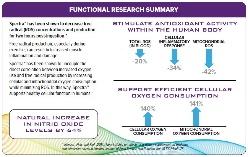 celljectics freeradpro research